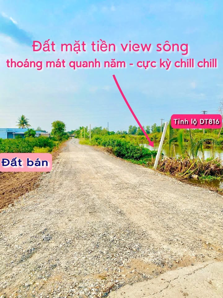 Đất vườn mặt tiền ĐT816, xã Bình Đức, 500m² giá 750 triệu - Cơ hội đầu tư hấp dẫn!