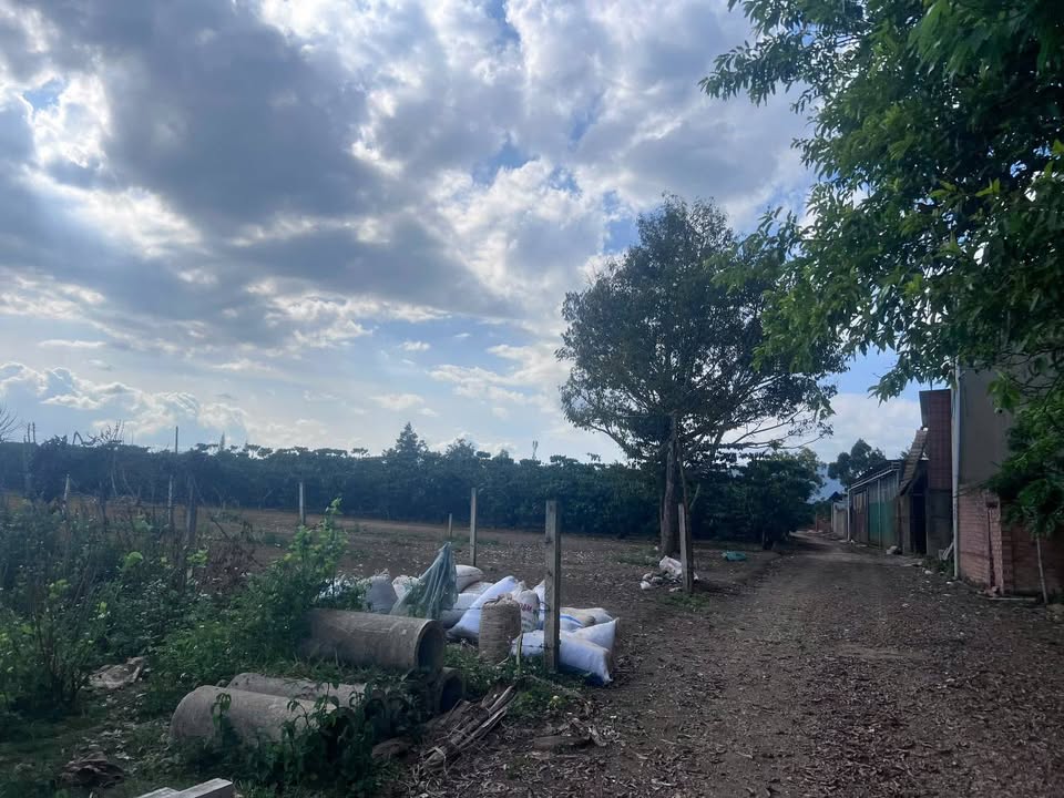 Đất nền Bảo Lộc 7358m² giá 3.3 tỷ - Đầu tư sinh lời tuyệt vời!