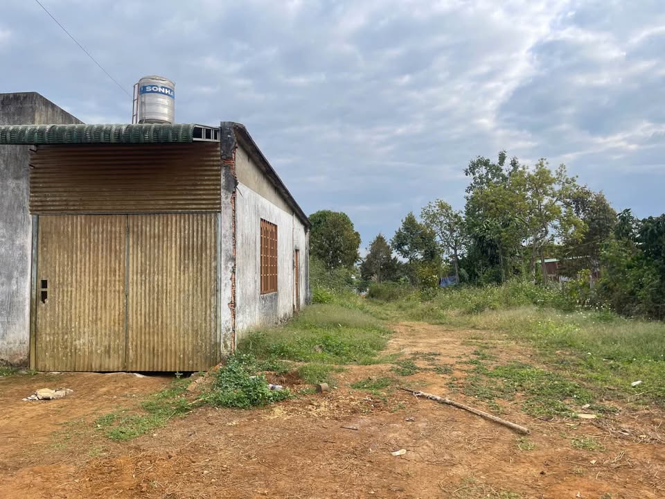 Đất thổ cư Thôn 8 Lộc An 1062m² giá 1.6 tỷ - Sẵn sàng đầu tư!