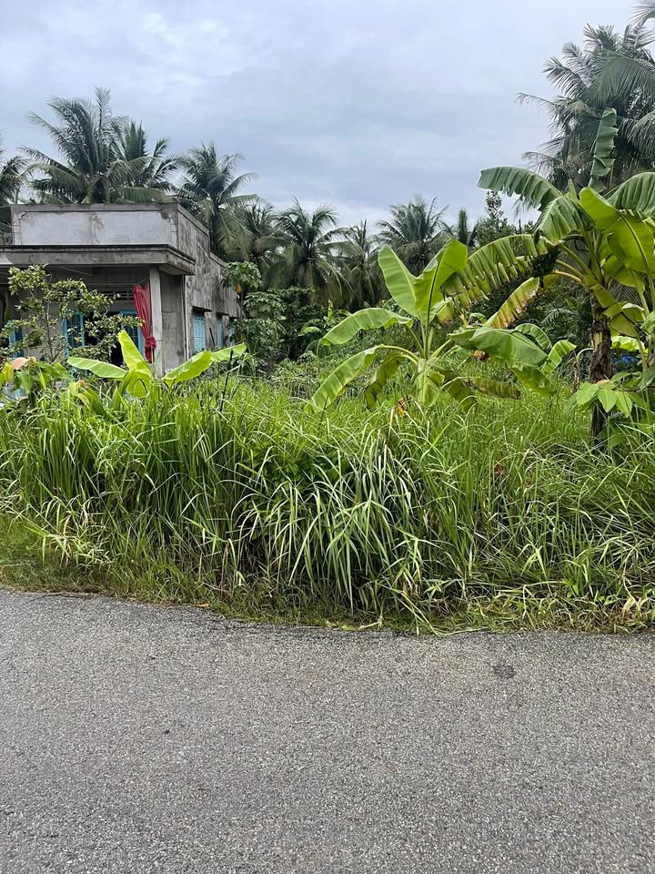 Đất nền mặt tiền lộ đê xã Châu Hưng, 420m² giá chỉ 850 triệu - Cơ hội đầu tư hấp dẫn!