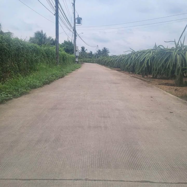 Đất thổ cư 475m² và đất lúa 1350m² tại Thạnh Phú, Châu Thành - Giá chỉ 2.3 tỷ!