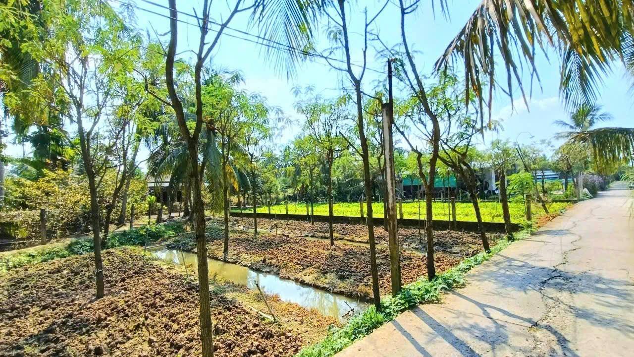 Đất nền 414m² Xã Đông Hòa, Huyện Châu Thành, Giá 650 triệu - Cơ hội đầu tư tuyệt vời!