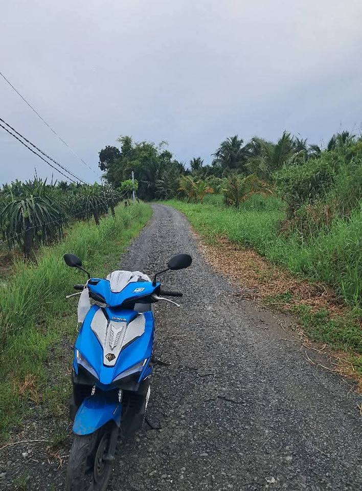 Đất nền Ấp Đăng Phong, Xã Thanh Bình, Huyện Chợ Gạo 6589m² - Giá chỉ 4.941 tỷ, tiềm năng phát triển cao!