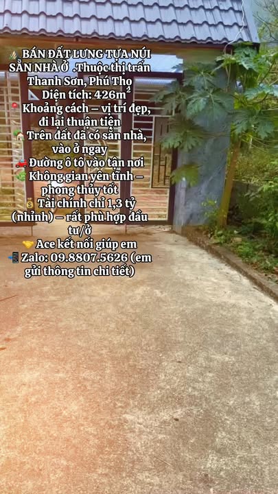 Đất Lưng Tựa Núi Thị Trấn Thanh Sơn 426m² giá 1.3 tỷ - Sẵn nhà ở ngay!