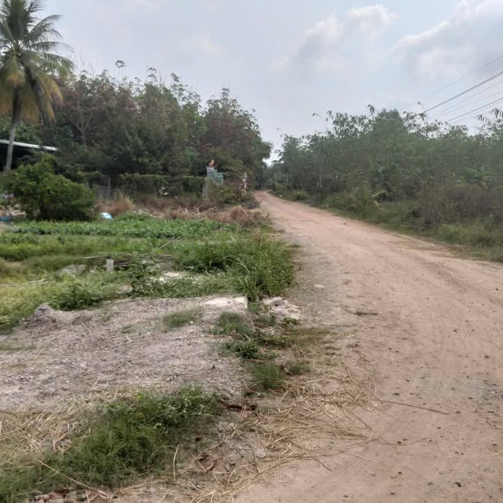 Đất nền An Hòa Châu Thành Tây Ninh 235m² giá 200 triệu - Đầu tư sinh lời ngay!