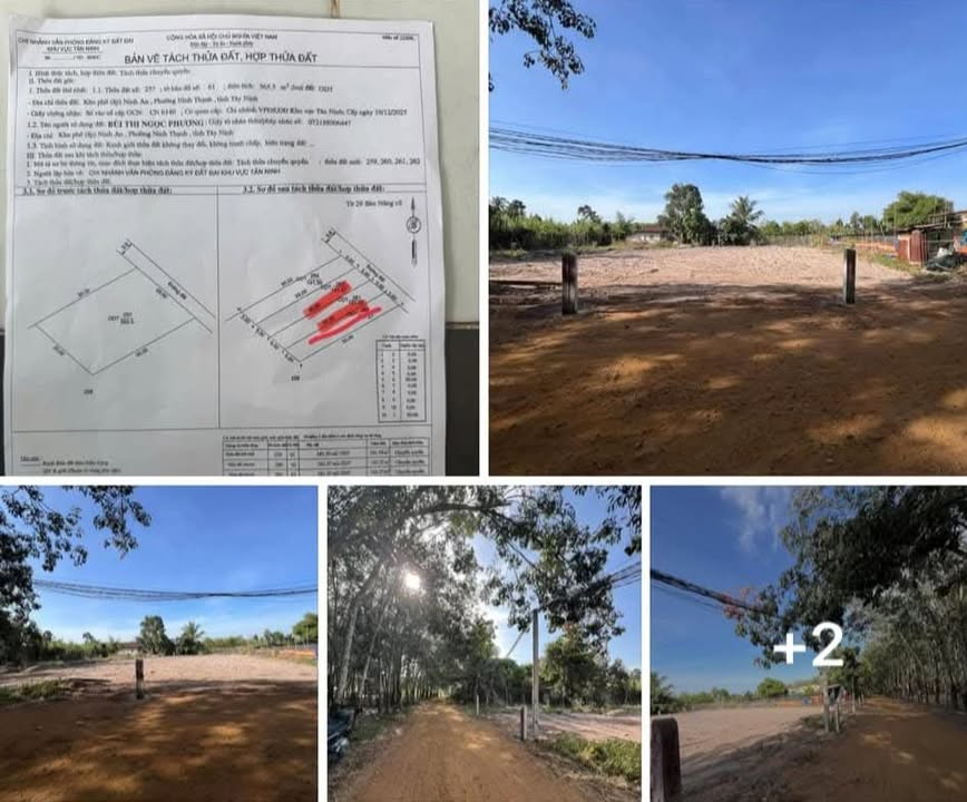 Đất nền khu phố Ninh An, Tây Ninh 150m² giá chỉ 390 triệu - Cơ hội đầu tư hấp dẫn!