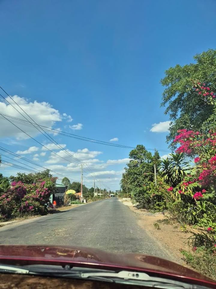 Đất vườn 1000m² tại Xã Hòa Thạnh, Châu Thành, Tây Ninh - Giá chỉ 400 triệu!