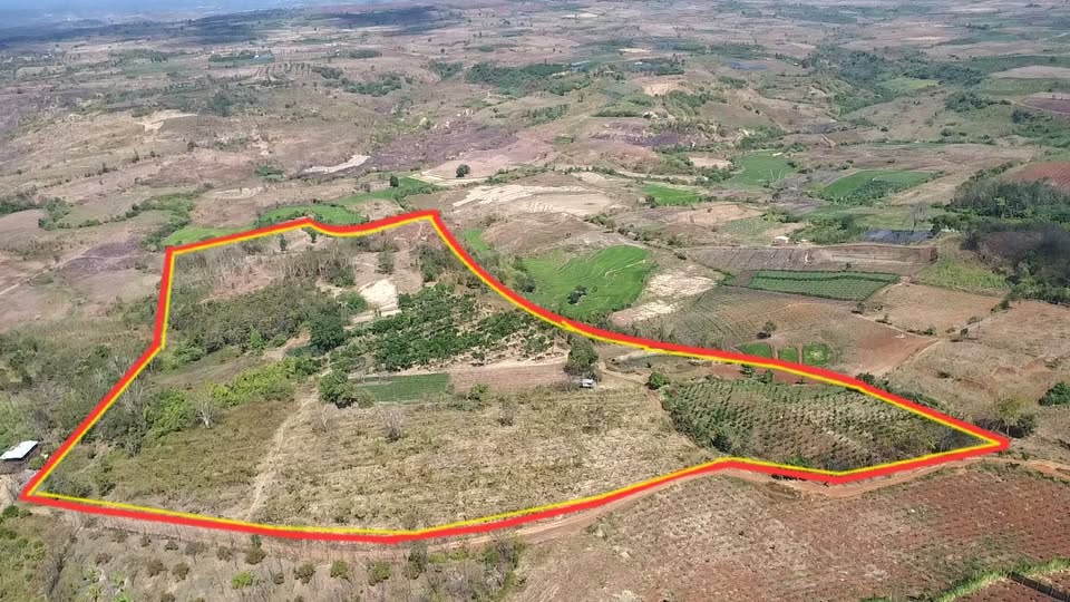 Lô đất rẫy 9,8ha tại xã Ia Le, Gia Lai - Giá 4.7 tỷ, sẵn sàng đầu tư!