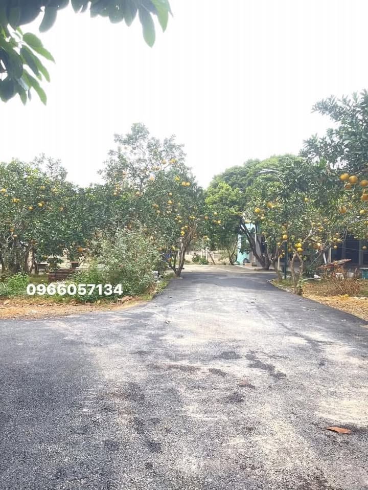 Đất nền Yên Mỹ, Bình Yên, 69m² chỉ 1.3 tỷ - Giá tốt hiếm có!