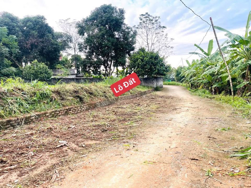 Lô đất thổ cư Tam Dương 109m² giá chỉ 520 triệu - Cơ hội đầu tư hấp dẫn!