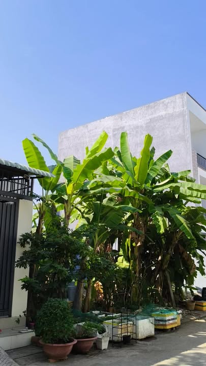 Đất nền KDC Tín Hưng, Thủ Đức 52m² giá chỉ 3.33 tỷ - Sổ hồng riêng