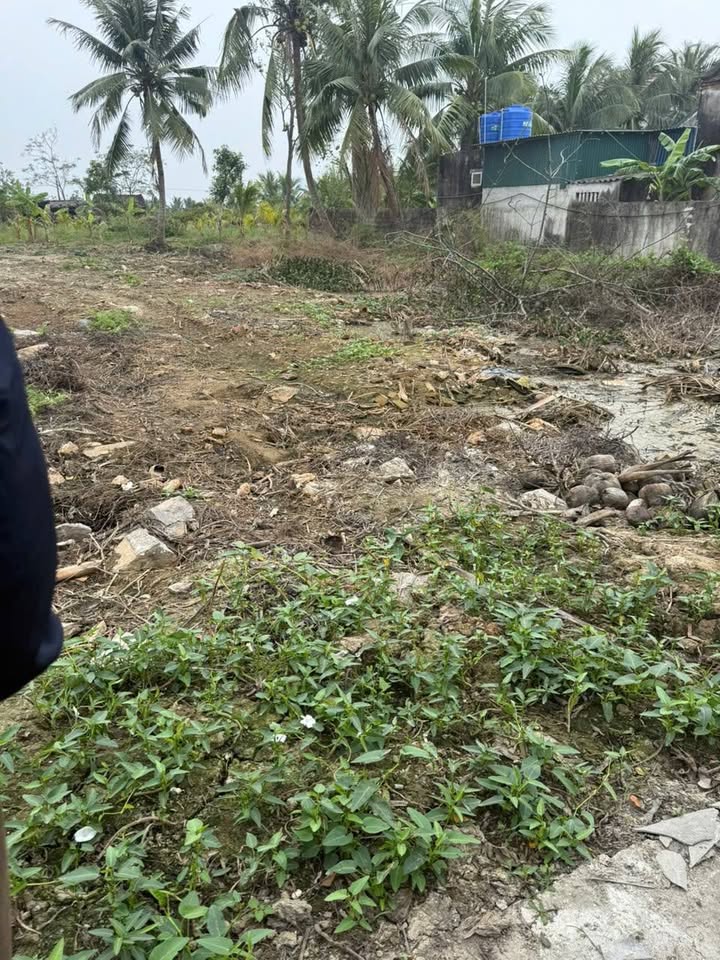 Đất nền thôn Phú Mỹ, xã Xuân Lộc, Thanh Hóa 418m² - Giá sập sàn chỉ 500 triệu!