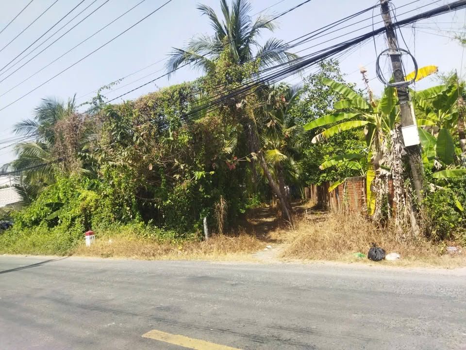 Đất thổ cư ĐT852 Tân Thành, Sa Đéc 800m² giá 60 tỷ - Phù hợp làm xưởng!