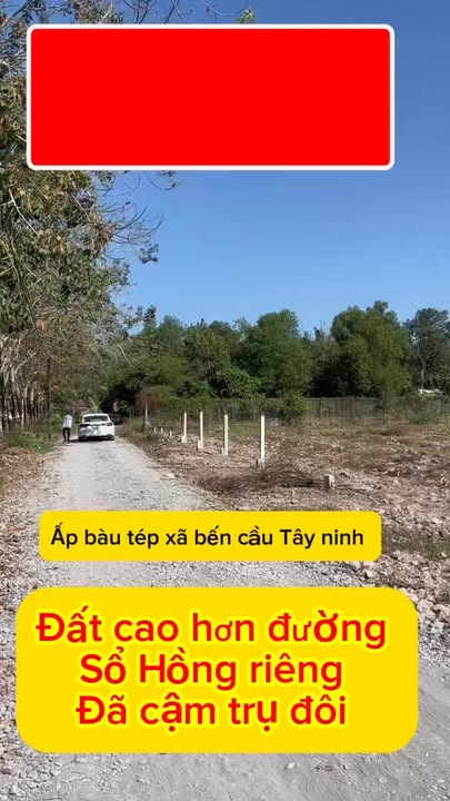 Đất thổ cư chính chủ 185m², Ấp Bàu Tép, Bến Cầu – Giá 280 triệu – Thương lượng nhanh!