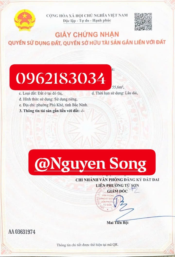 Đất Phù Khê Từ Sơn 55,6m² giá 1,55 tỷ - Cơ hội đầu tư tuyệt vời!