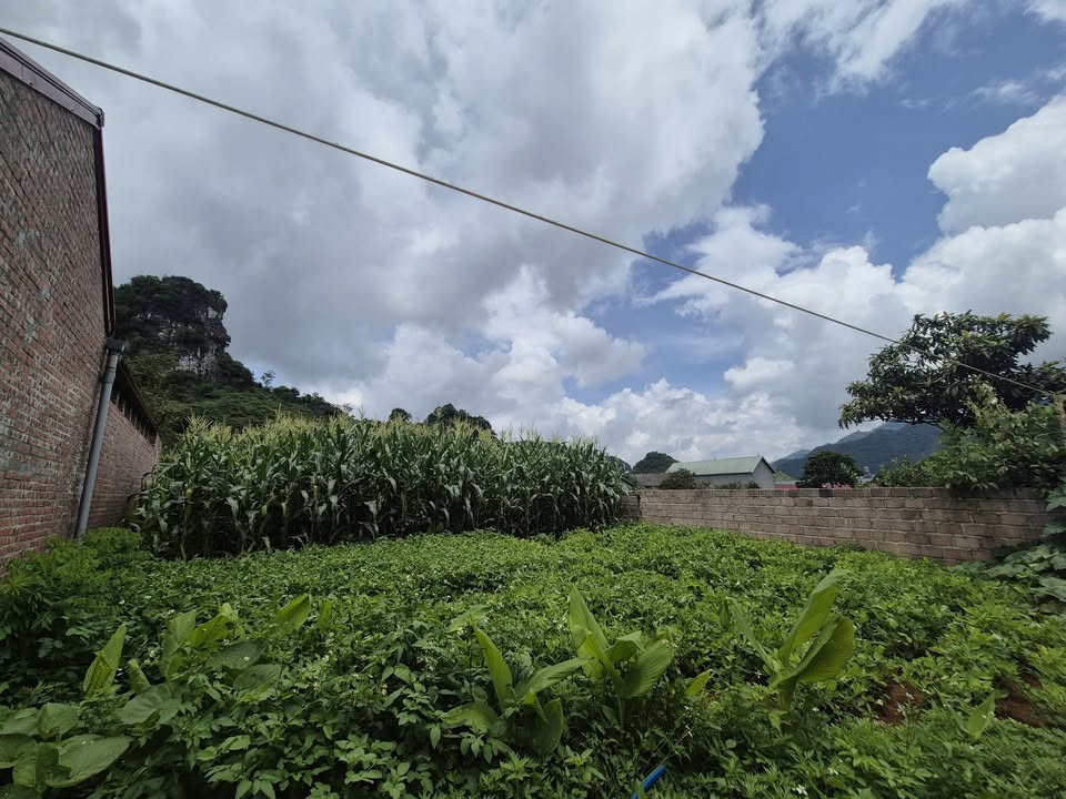 Đất nền Mộc Châu 153m² giá chỉ 2 tỷ - Đầu tư tiềm năng ngay trung tâm!