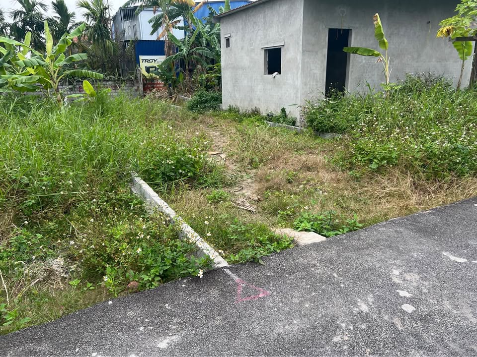 Đất nền đường Tư Thủy, Hải Phòng 100m² giá 20 triệu - Cơ hội đầu tư tuyệt vời!