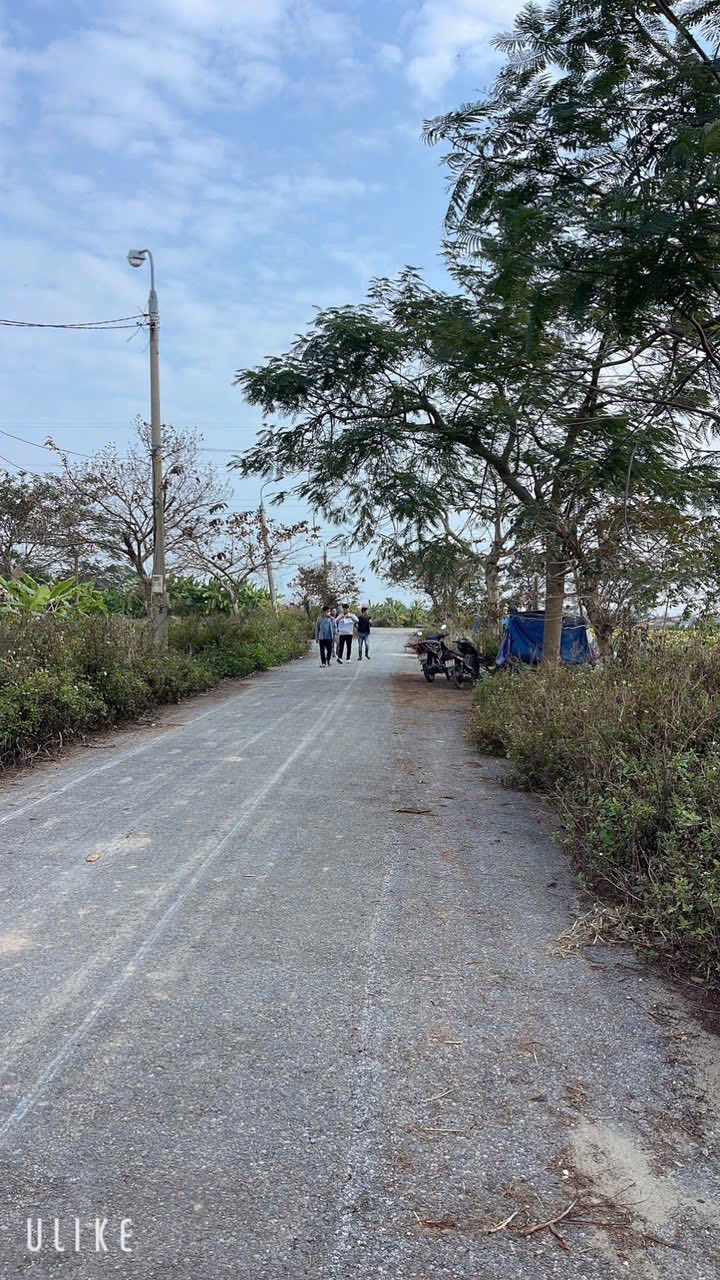 Đất nền dự án TDC Bà Cằng, Hải Phòng 122m² giá thỏa thuận - Vị trí đắc địa gần Vinhomes!