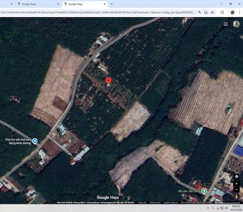 Đất nền 3300m² tại xã Trừ Văn Thố, Bàu Bàng chỉ 3 tỷ - Cơ hội đầu tư hấp dẫn!