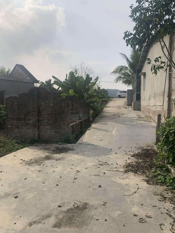 Đất nền An Phúc, An Khang 95m² giá 550 triệu - Đầu tư sinh lời ngay!