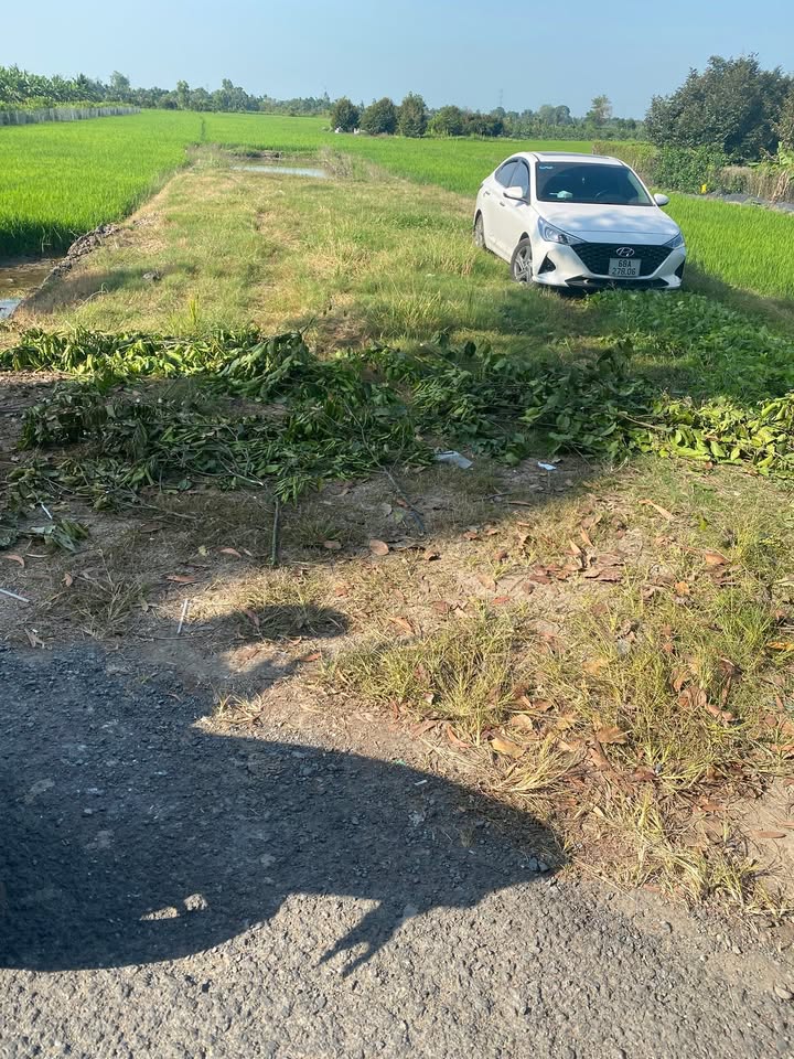 Đất nền Thới Tân, Thới Lai 538.2m² - Cơ hội đầu tư lý tưởng!