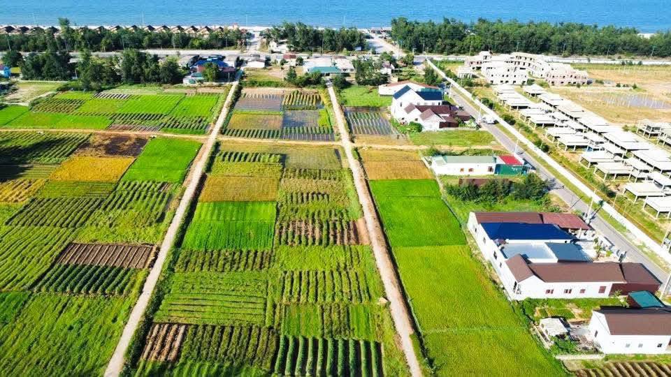 Đất nền biển Gio Hải, 230m² giá 1 tỷ - Đầu tư sinh lời ngay!