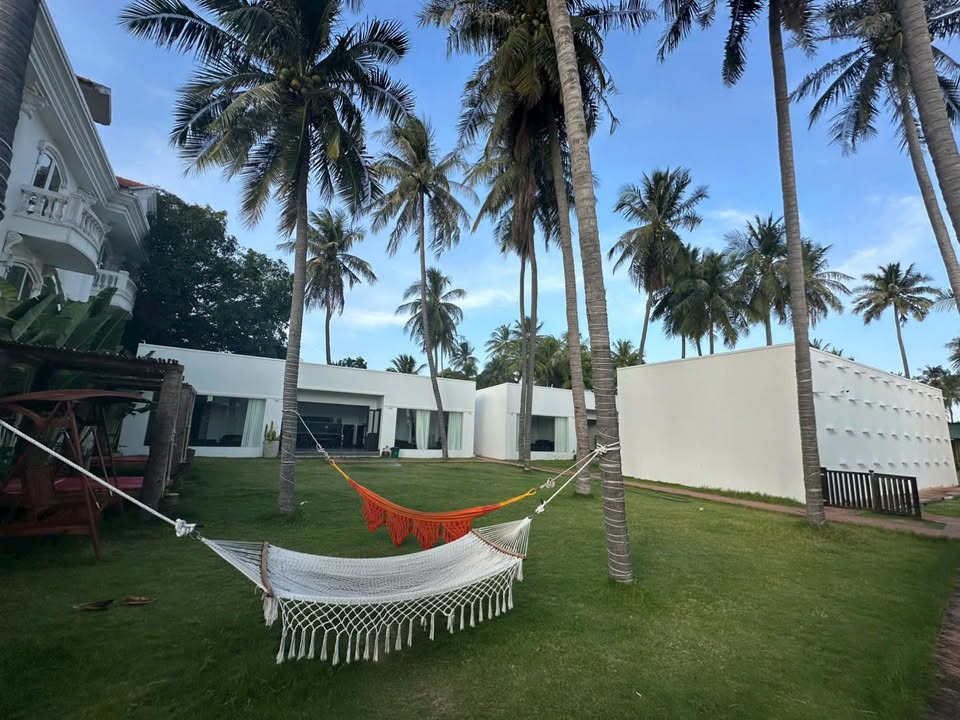 Đất Lúa 1200m² tại Hàm Liêm giá 300 triệu - Cơ hội đầu tư hiếm có!