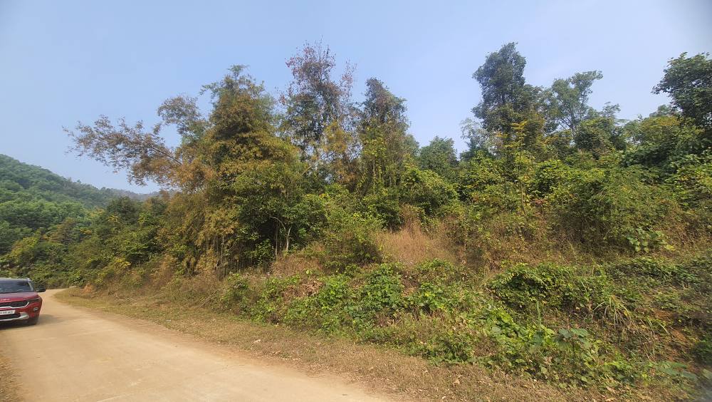 Đất rừng 6,6ha tại Hồ Khuổi Khoán, giá chỉ 2 tỷ - Tiềm năng sinh lời cao!