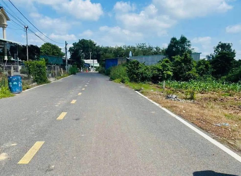 Đất nền 250m² tại Xã Phước Hòa, Huyện Phú Giáo giá chỉ 150 triệu - Cơ hội đầu tư tốt!