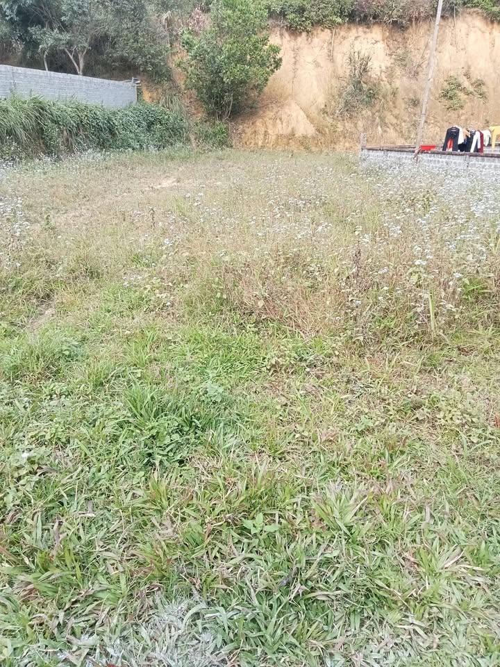 Đất nền thôn Đồng Ngoài, xã Vĩnh Tiến, 460m² giá chỉ vài trăm triệu - Đầu tư sinh lời!