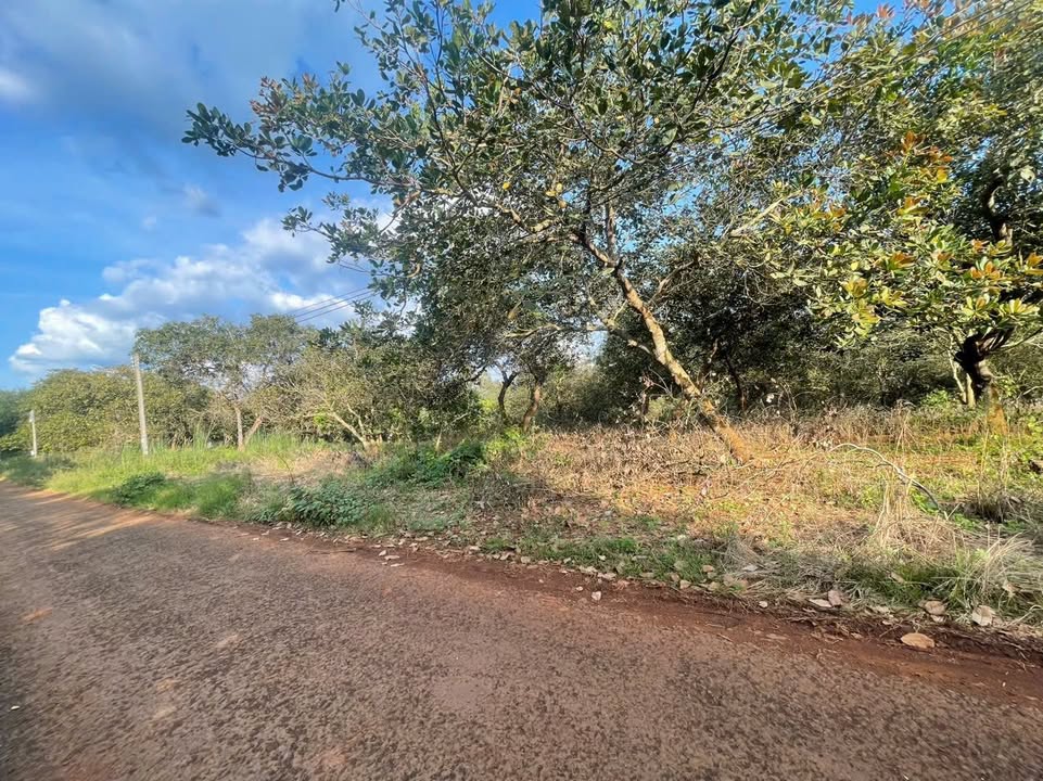 Đất nền đường nhựa Suối Nhung, Tân Hưng, 1650m² chỉ 1 tỷ - Cơ hội đầu tư tuyệt vời!