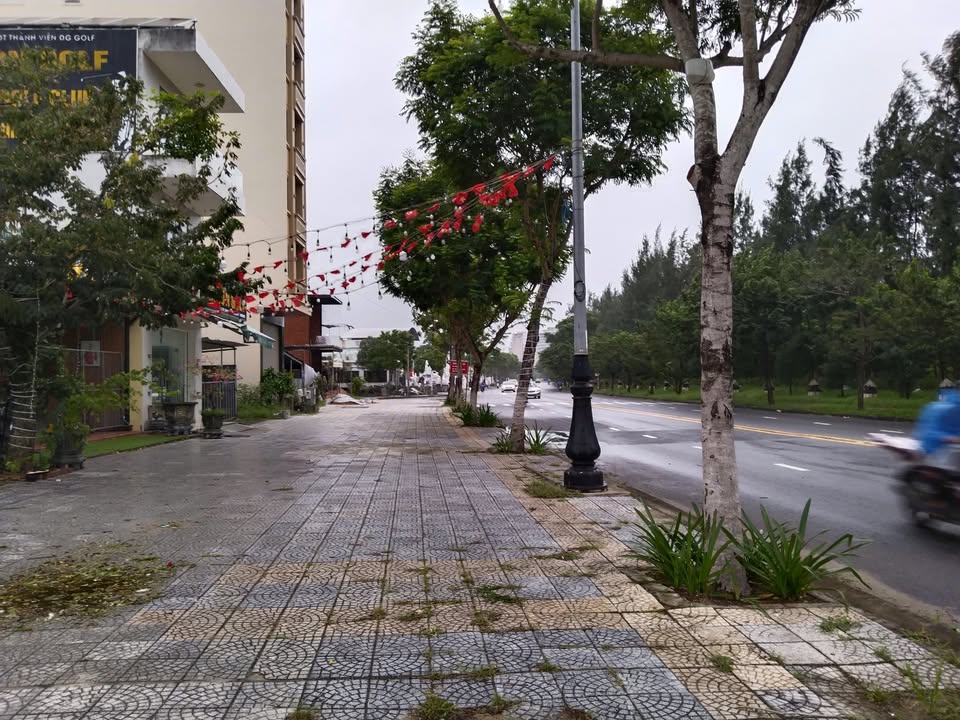 Đất nền Trường Sa, Quận 3, 306m² giá 24 tỷ - Đầu tư sinh lời ngay!