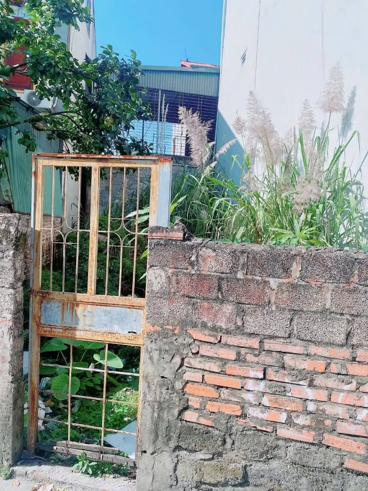 Đất ngay chợ Cao Sơn, Cẩm Phả, 62m² chỉ 800 triệu - Cơ hội đầu tư tốt!