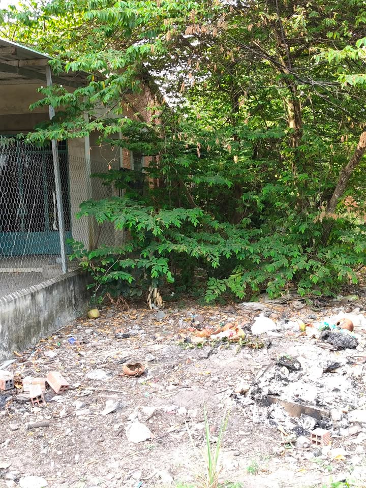 Đất nền Phước An, Xã Phước Vinh, 238m² giá 290 triệu - Cơ hội đầu tư tuyệt vời!