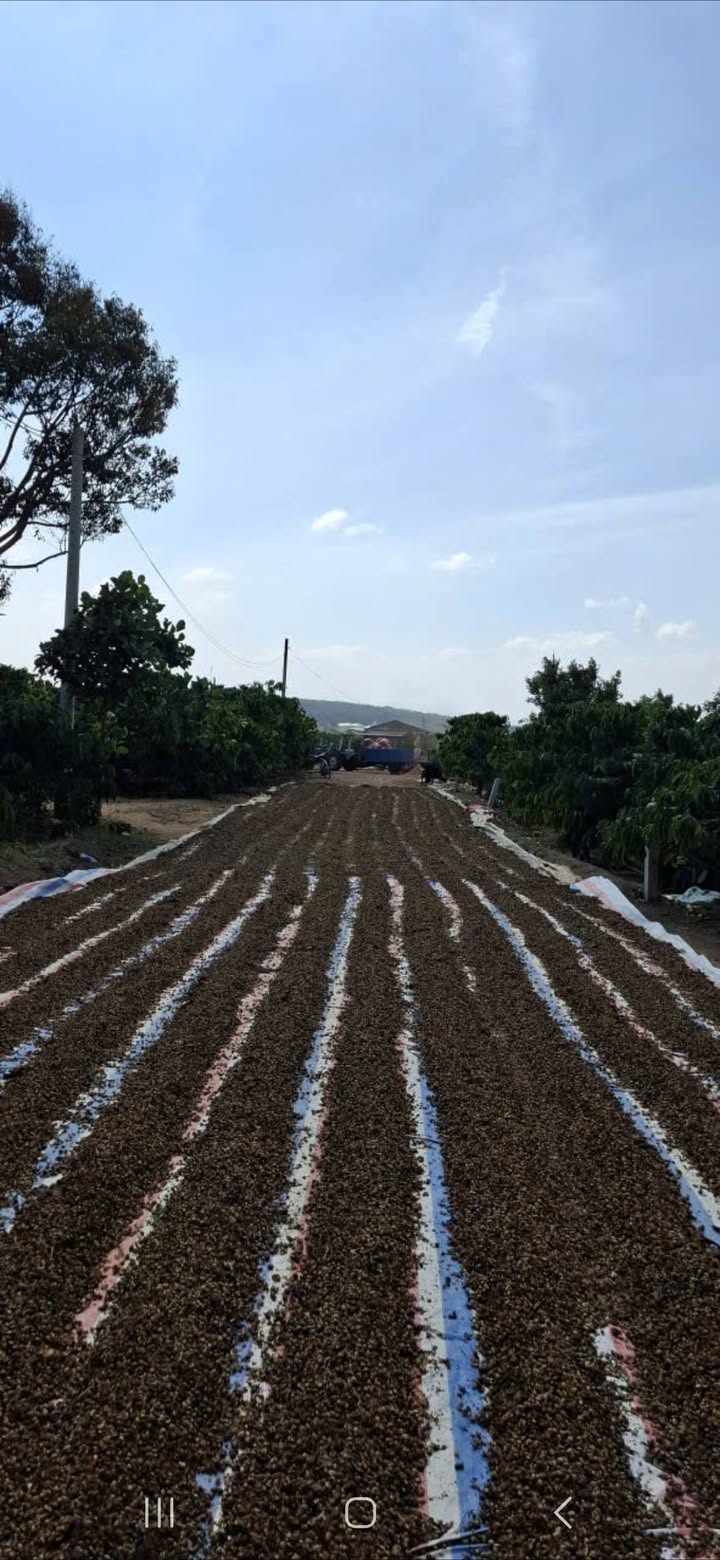 Đất vườn Lâm Hà 360m² giá 950 triệu - Sổ đỏ chính chủ, ô tô vào tận nơi!