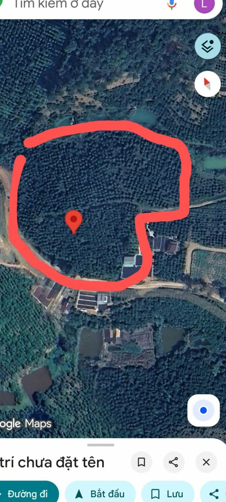 Đất nền Tân Thanh, Lâm Hà 17.000m² giá 6.12 tỷ - Mặt tiền đường chính thuận lợi!