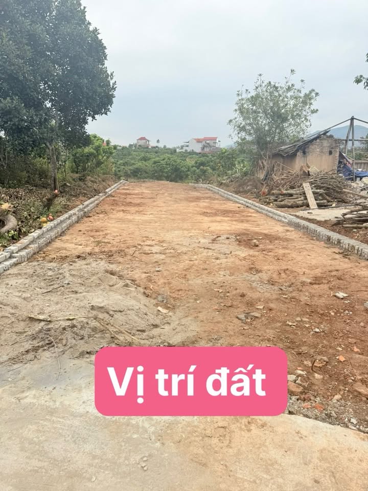 Đất TDP Cầu Cát Lục Ngạn 258,6m² - Sổ hồng sẵn