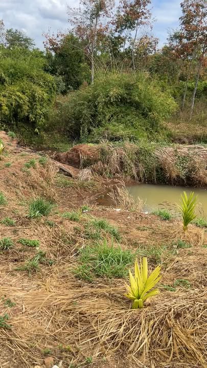 Đất nền 12.000m² tại QL 6C, Buôn Ma Thuột giá 5 tỷ - Đầu tư sinh lời ngay!