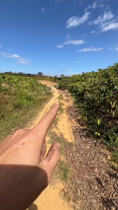 Farm rẫy cà phê 1,8ha tại Hơ Moong, Sa Thầy, Kon Tum - Giá thỏa thuận, sẵn sàng sản xuất!