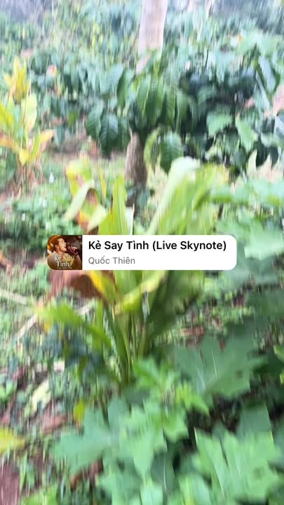 Đất nông nghiệp tại xã Ea Hồ, huyện Krông Năng, 7400m² - Đầu tư sinh lời tuyệt vời!