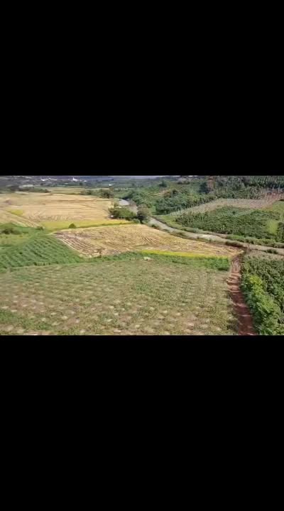 Farm đất 1ha ở xã Ea Siên - Đắk Lắk giá chỉ 130 triệu, sẵn sàng đầu tư!