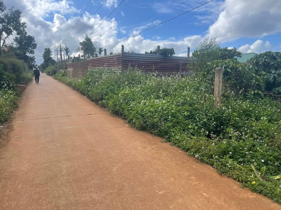 Đất thổ cư 300m² đường Trần Phú, xã Pơng Drang - Giá chỉ 1.6 tỷ!