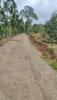 Farm 9000m² tại Xã Ea Drông, Thị Xã Buôn Hồ giá 600 triệu - Đầu tư sinh lời ngay!