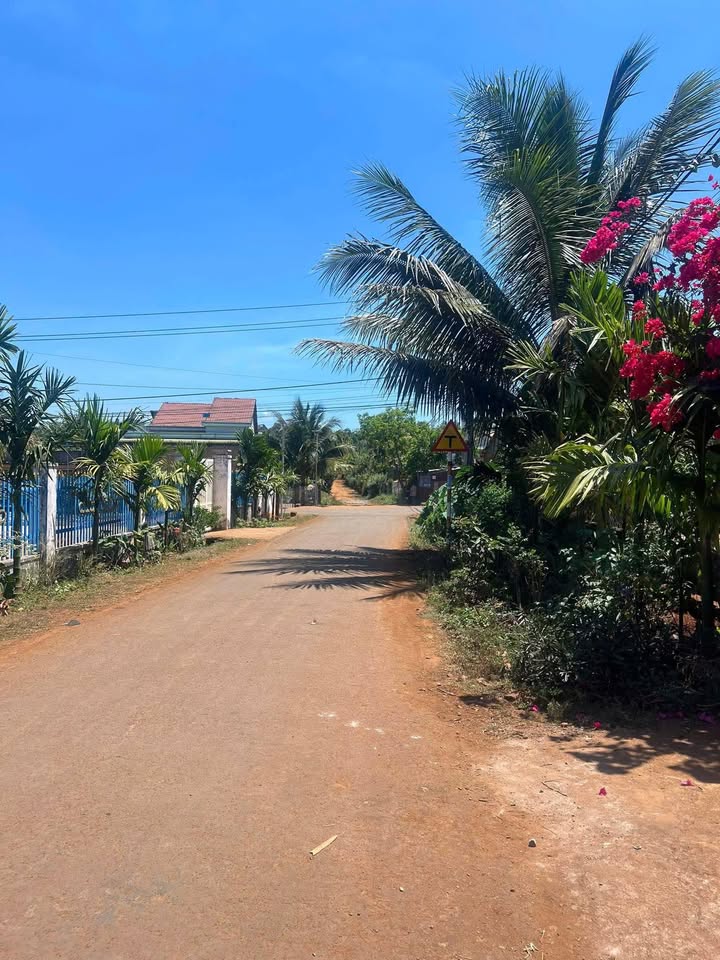 Đất nền mặt tiền đường Huỳnh Văn Nghệ, Buôn Hồ, Đắk Lắk - 210m² chỉ 1.69 tỷ!