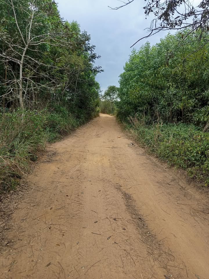 Đất nền 6,5 sào tại thị trấn Ea Kar chỉ 580 triệu - Cơ hội đầu tư tuyệt vời!