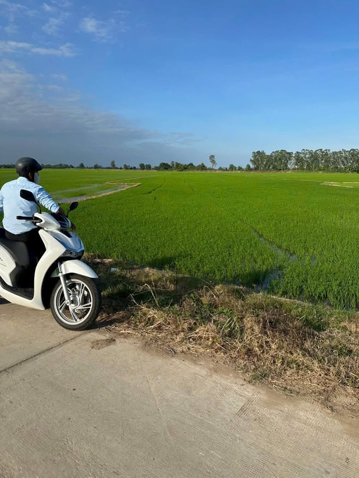 Đất Mặt Tiền Huyện Lộ 95, Thới Lai, Cần Thơ - 8.000m², Giá 4.4 Tỷ - Phù Hợp Đầu Tư Sinh Lợi