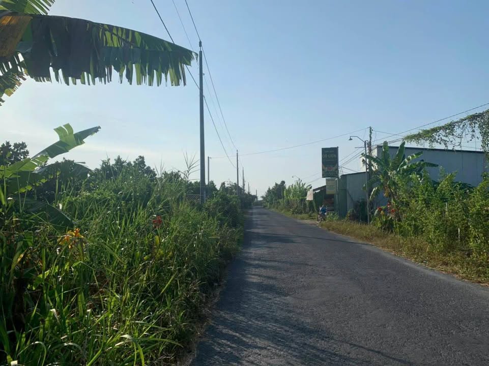 Đất nền thổ cư 250m² tại Bình Minh, Vĩnh Long - Giá chỉ 1.35 tỷ!