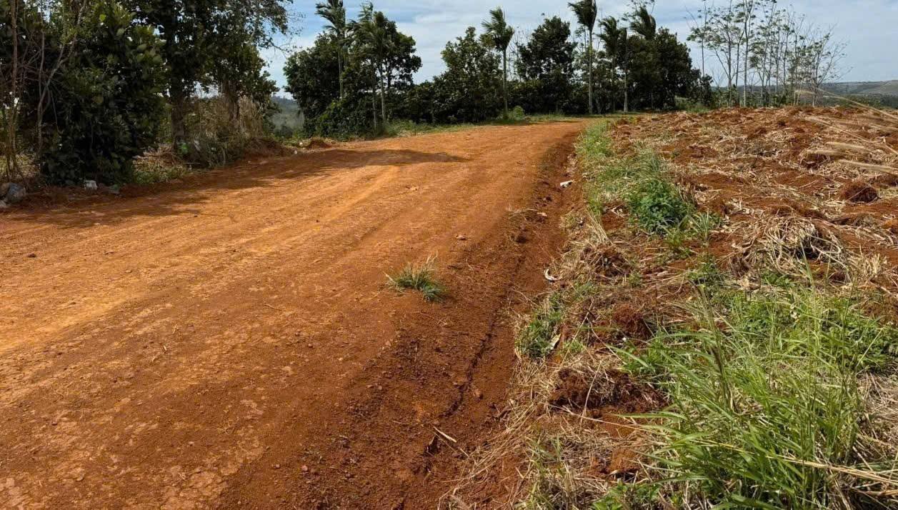 Đất Farm 18.000m² tại Xã Đắk R'Măng, giá chỉ 530 triệu - Cơ hội đầu tư tuyệt vời!