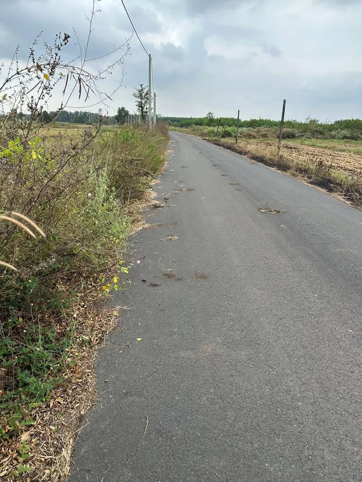 Đất thổ cư 500m² tại xã Đá Bạc - Giá chỉ 950 triệu - Sổ hồng chính chủ!