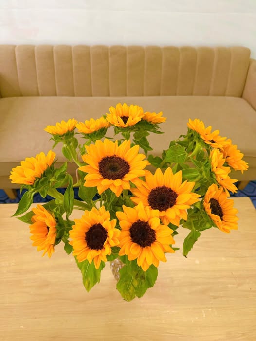 Đất nông nghiệp 10 mẫu mặt tiền đường Long Mỹ - Lộc An, Hồ Tràm, 150 tỷ - Bán gấp, cơ hội đầu tư sinh lời!